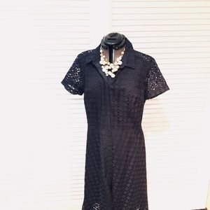Ann Taylor Eyelet Shirtdress